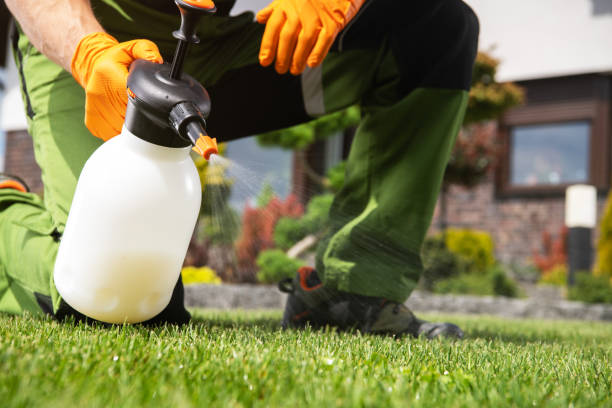 Wildlife Control Services in Wingdale, NY