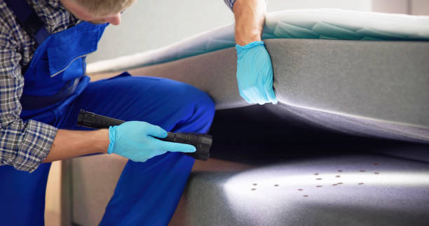 Pest Prevention Services in Wingdale, NY