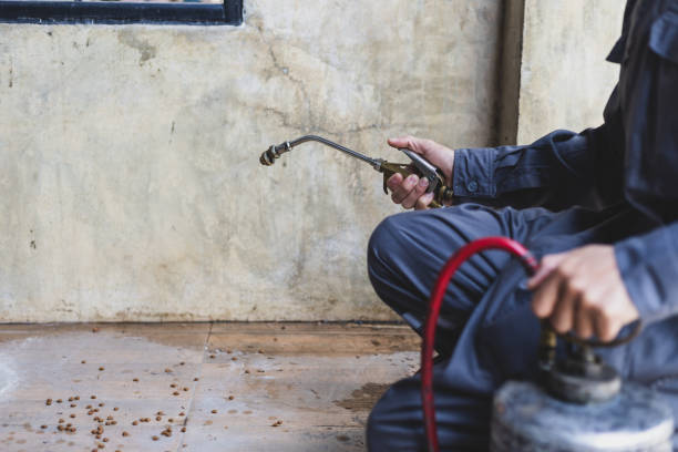 Best Affordable Pest Control Services  in Wingdale, NY